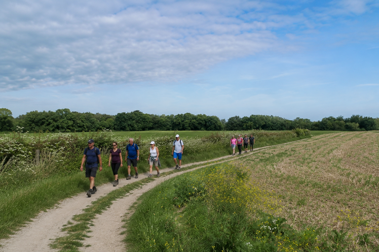 Heuvelland Wandel4daagse 2026